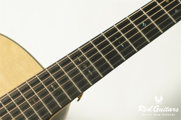 F130-GA Sitka Spruce / Indian Rosewood